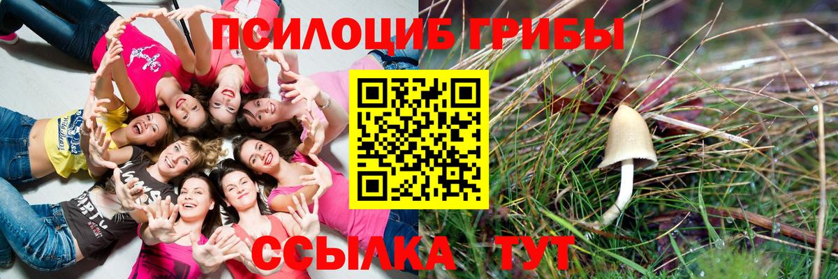 Псилоцибиновые грибы ЛСД Туймазы