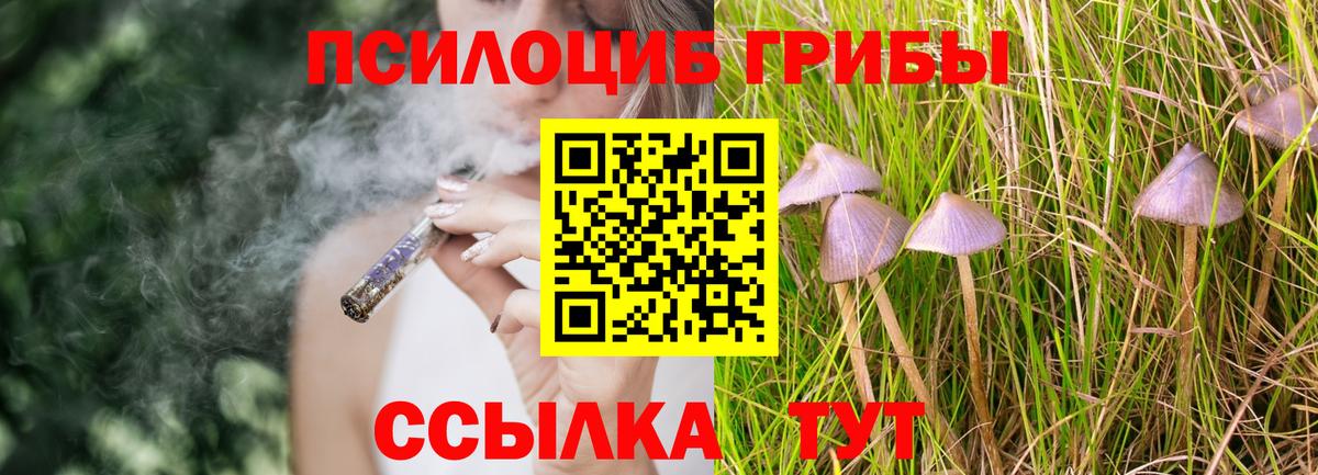 Псилоцибиновые грибы ЛСД  Вход с VPN  Туймазы 
